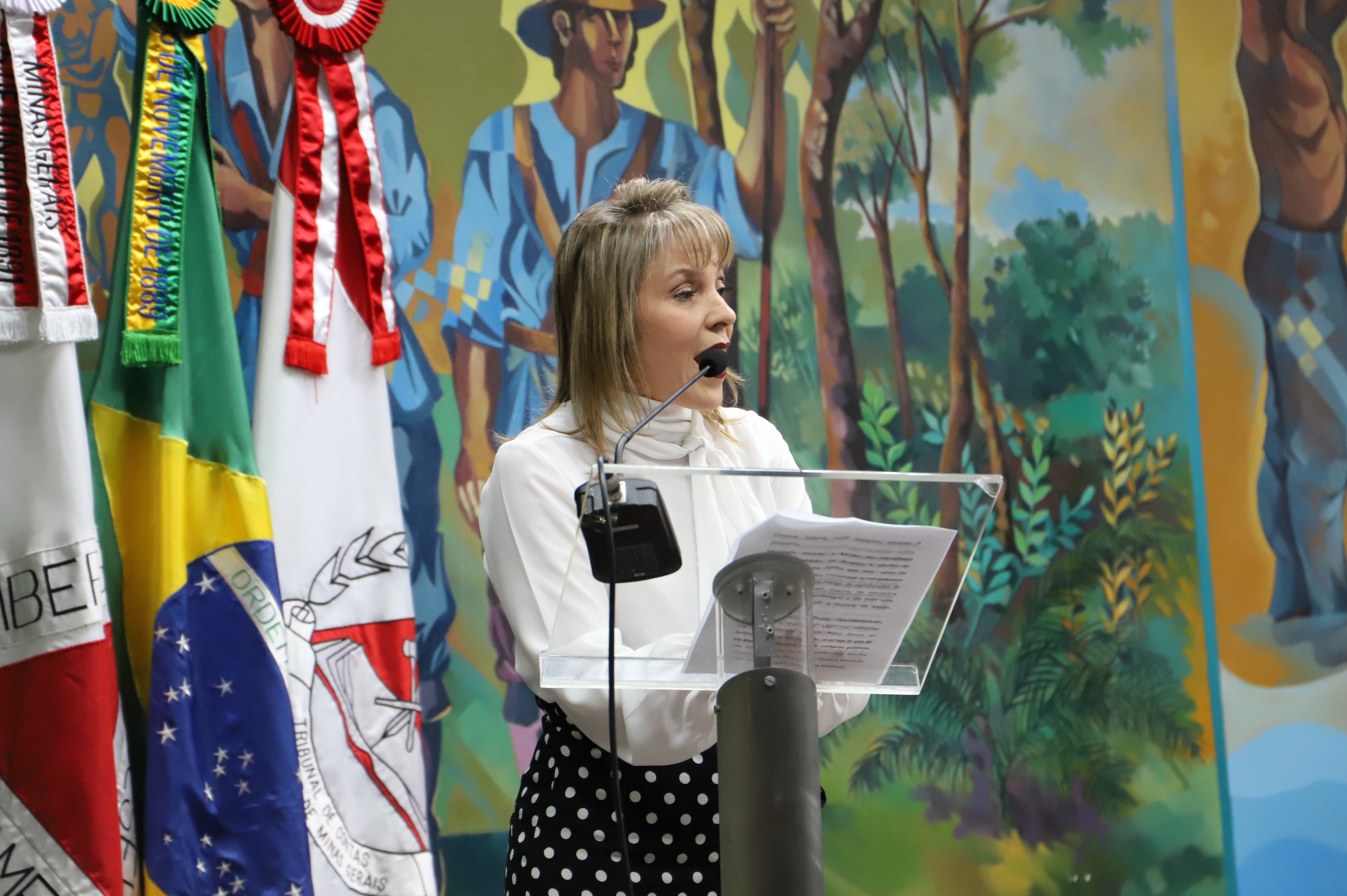 Diretora da Escola de Contas, Naila Mourthé
